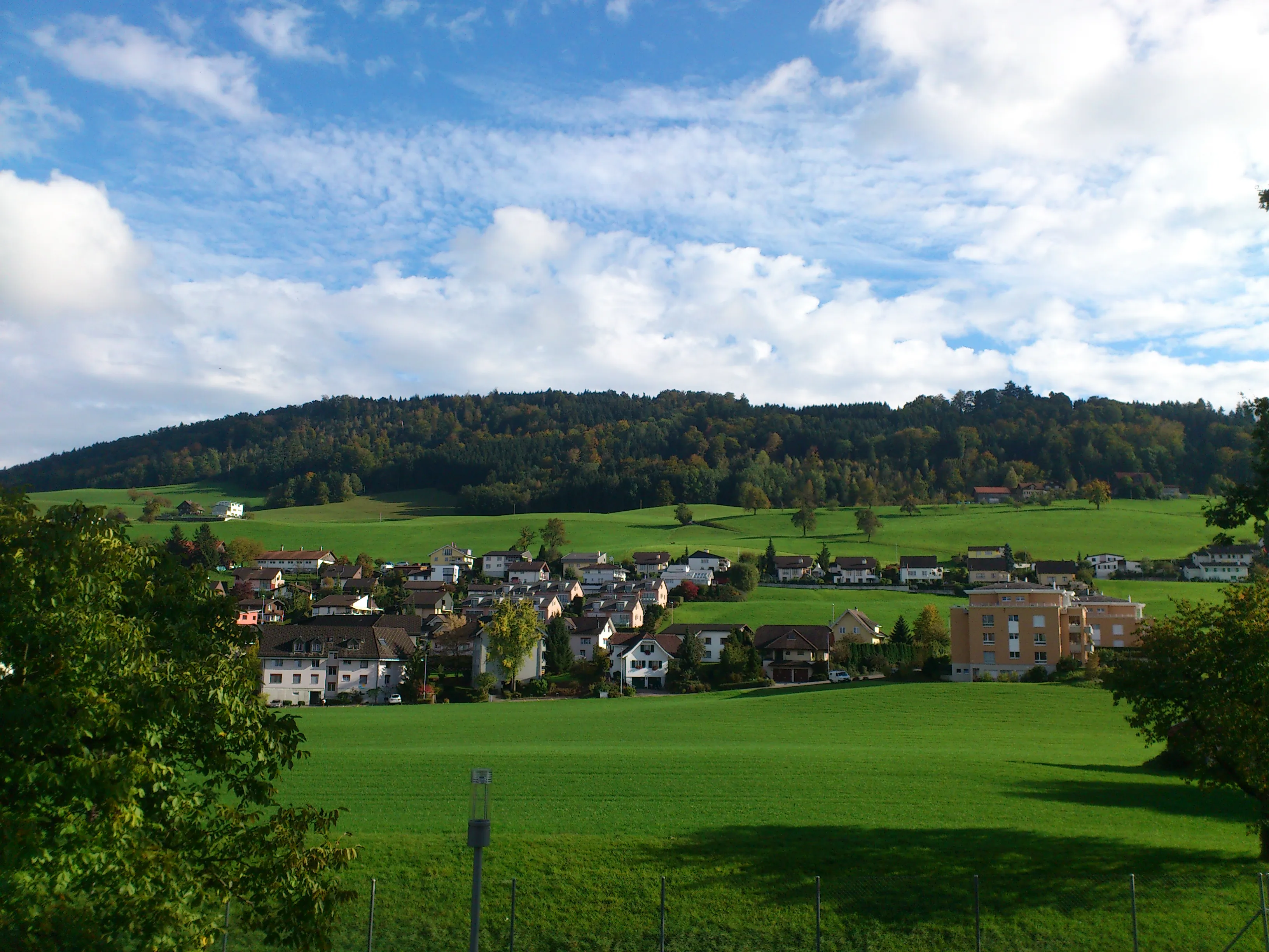 Ebikon mit Wiesen und bewaldeten Hügeln